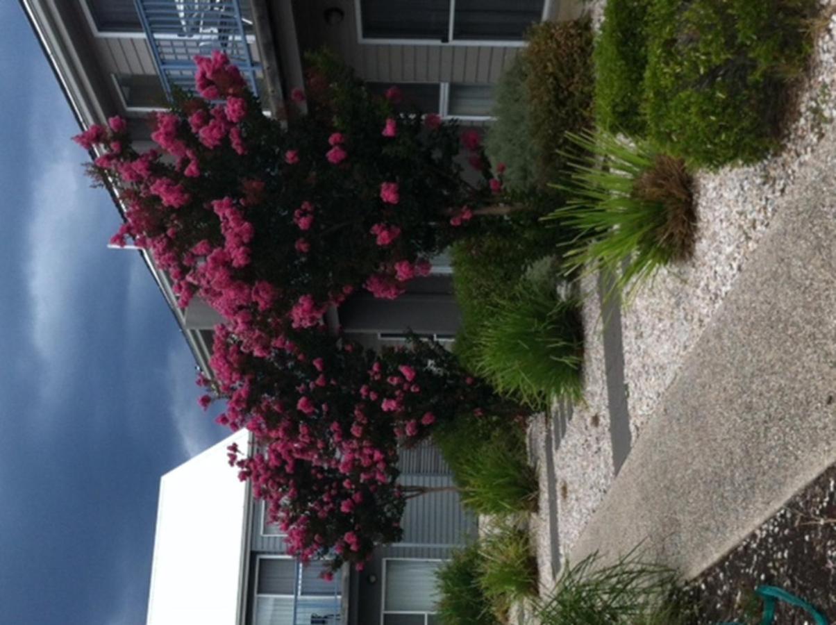 Quest Williamstown North Aparthotel Luaran gambar